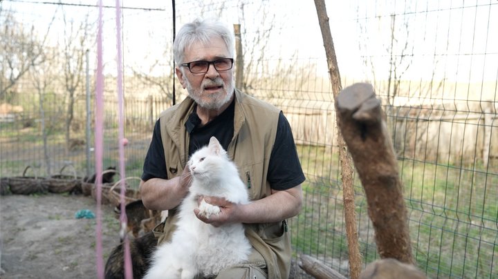 Родина із Запоріжжя евакуювала на Черкащину понад 100 врятованих котів і собак