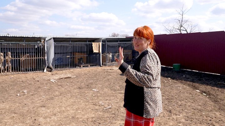 Волонтерка з Добропілля евакуювала понад 400 тварин і створила для них притулок на Одещині