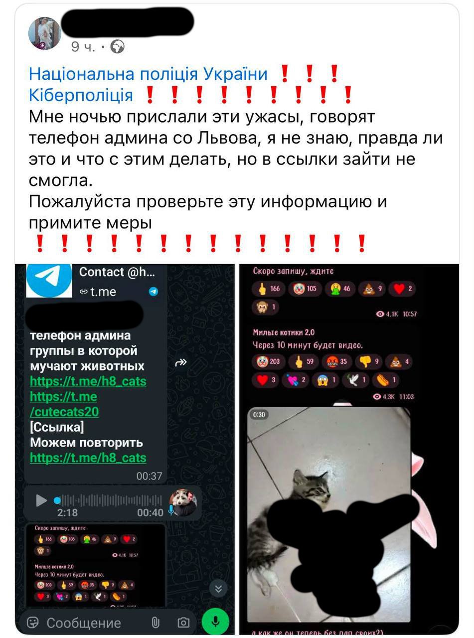 Старий номер використали для звинувачень: 16-річну харків’янку намагаються пов’язати з каналами зі знущаннями над тваринами
